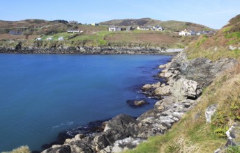 South Harbour bay and houses, Cape Clear Island, County Cork, Ireland, Irish Republic, Europe