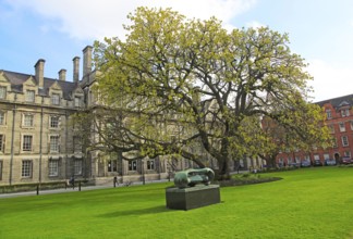 Graduates Memorial building, Trinity College university, city of Dublin, Ireland, Irish Republic,