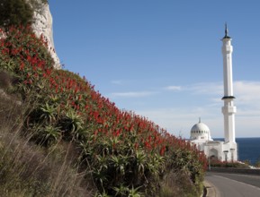 Mosque of the Custodian of the Two Holy Mosques, Europa Point, Gibraltar, British overseas