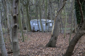 Old caravan seen through tree trunks alone in the woods, Shottisham, Suffolk, England, UK