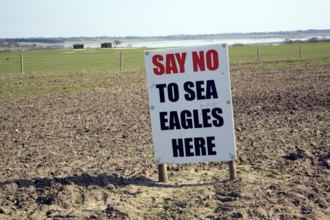 Protest sign against introduction of white-tailed sea eagle birds to Suffolk coast, Blythburgh,