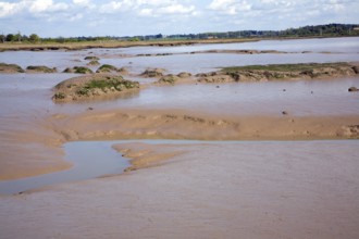 Mud flats and creeks low tide River Deben, Hemley, Suffolk, England, UK