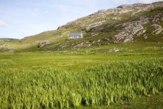 Small boffey building in rocky setting, at Allathasdal, Barra, Outer Hebrides, Scotland, UK