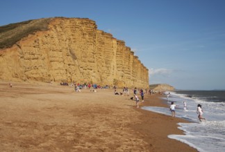 Sandstone cliffs and beach West Bay, Bridport, Dorset, England, UK