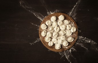 Raw frozen dumplings, on a wooden board, top view, horizontal, rustic style, no people