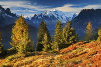 View of the Aiguille Verte and Mont Blanc in the first morning light in the Savoy, France, Europe