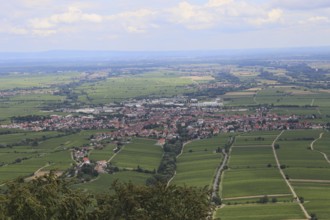 View of Rhodt unter Rietburg