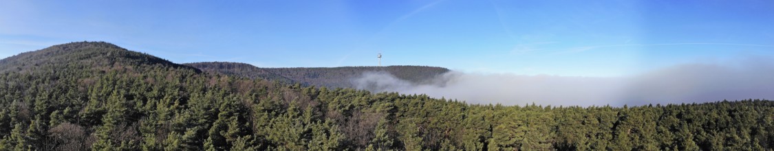 Panorama of the Palatinate Forest