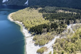 Aerial view of lake Lovatnet (or: Loenvatnet), sandy beach and birch forest, valley Lodalen south