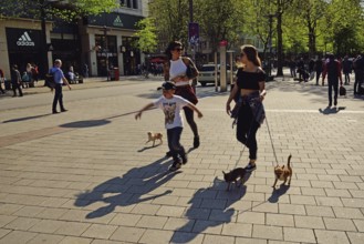 Germany, Hamburg, City, Mönckebergstraße, Two young woman and boy with three small dogs, Hamburg,