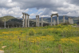 Excavation site site of the ancient city of Aphrodisias, today's city of Geyre, Karacasu, Aydin,