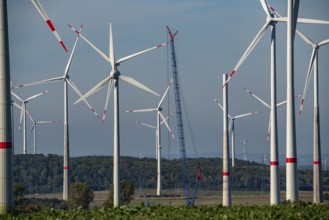 Wind farm near Bad Wünnenberg, Ostwestfalen Lippe, along the A44 motorway, North Rhine-Westphalia,