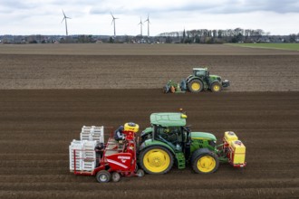 Early potatoes are laid in the soil of the field with a planting machine, tractor with roundabout