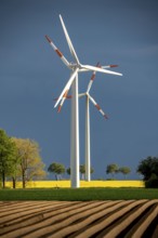 Wind turbines on a rape field, dark rain clouds, in the Rhenish lignite mining area, near