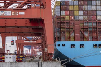 Magleby Maersk container freighter at EUROGATE Container Terminal, Waltershofer Hafen, one of the