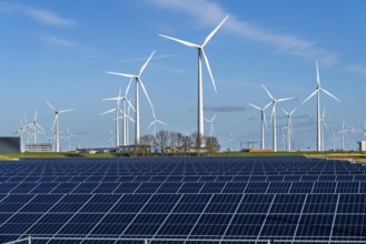 Vopak Solarpark Eemshaven, 19 hectares of solar modules with a capacity of 25 megawatts, around the