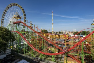 The Rhine Fair in Düsseldorf, in the Rhine meadows in the Oberkassel district, on the Rhine, Wild