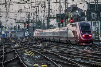 Eurostar train on its way to Brussels, Cologne Central Station, tracks on the west side, overhead