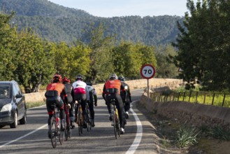 Road bike rider on the Ma-3440, near Inca, Majorca, Balearic Islands, Spain, Europe