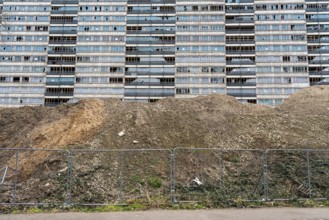 Duisburg-Hochheide, large housing estate Wohnpark Hochheide, 6 20-storey high-rise buildings with