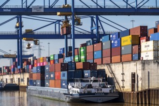 Container cargo ship in the harbour basin of the Logport, gantry cranes in the Container Handling