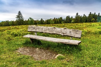 Landscape on the Kahler Asten, mountain, in the Hochsauerland district, Hochheide, North