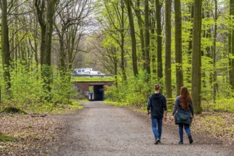 The Sterkrader Wald in Oberhausen, at the Oberhausen motorway junction, where the A2/A3A/A516 meet,