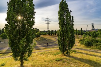 The Krupp Park in Essen-Altendorf, part of the Krupp Belt, an urban development project to rebuild