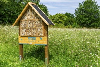 Insect hotel, wildflower meadow at the park cemetery in Essen, the city's largest cemetery, North