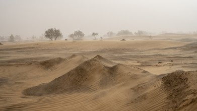 Sandstorm in the desert, dunes, Erg Chebbi, Sahara, Merzouga, Morocco, Africa