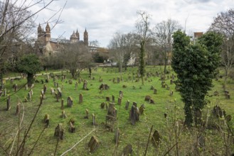 Jewish cemetery Heiliger Sand and St Peter's Cathedral, Kaiserdom, Worms Cathedral, Worms,