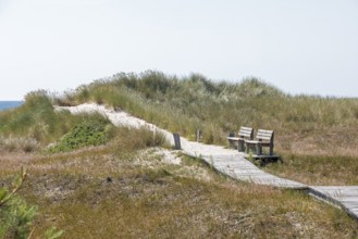 Wooden footbridge, benches, dunes, circular hiking trail, nature reserve, Darßer Ort, Born a. Darß,