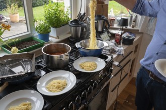 Lunch of a family, freshly cooked spaghetti is distributed on plates for the family, Bavaria,