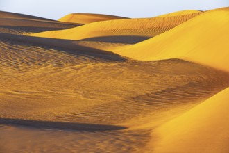 Wind-sculpted curved sand dunes in the Rub al Khali desert, Dhofar province, Arabian Peninsula,