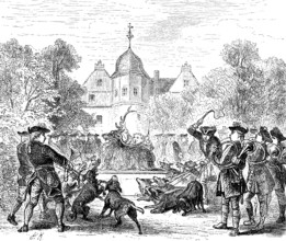 A royal nimrod, hunting pleasure at Wusterhausen Castle, Brandenburg, driven hunt, hunting dogs,