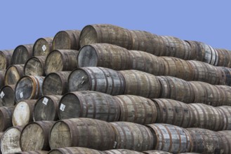 Huge stacks of discarded whisky casks, barrels at Speyside Cooperage, Craigellachie, Aberlour,