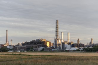 BASF, Lugwigshafen am Rhein, industrial area, dusk, fields, Mannheim, Baden-Württemberg, Germany,