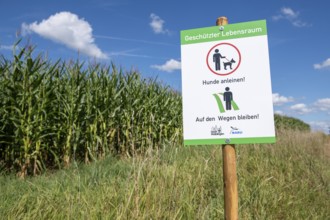 Sign for dog owners that they should stay on the paths and that dogs must be kept on a lead.NABU,