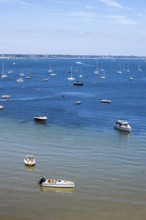 Yachts and boats on Studland Bay, Jurassic Coast, Dorset Coast, Poole, England, United Kingdom,