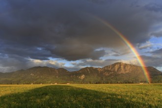 Rainbow, flower meadow, mountains, cloudy mood, evening light, Loisach-Lake Kochel moor, view of