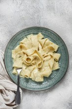 Pasta papardelle in creamy garlic sauce, traditional Italian cuisine, pasta carbonara, homemade, no