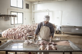 Production of salted ducks in the Nan Jing Ying Tao Yo Co. Ltd. factory, the factory produces