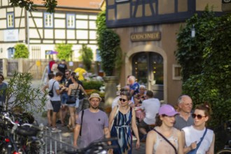 31st Elbhangfest, Loschwitz village square, 31st Elbhangfest, Dresden, Saxony, Germany, Europe