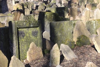 The Old Jewish Cemetery in the Josefov district is one of the most historically significant Jewish