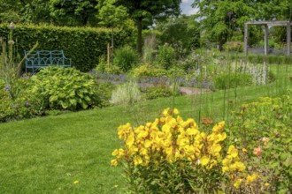 Perennial beds and blue bench in the district educational garden, Burgsteinfurt, Münsterland, North