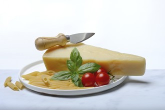 A piece of Parmesan cheese with cheese knife, pasta and tomatoes, Italy, Europe