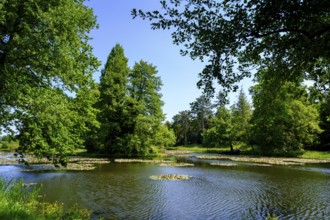 Dessau-Wörlitz Garden Kingdom, Wörlitz Park, UNESCO World Heritage Garden Kingdom of