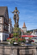 The market square fountain, Röhrbrunnen, with a knight on the shield the city coat of arms, behind