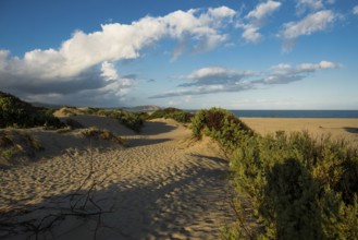 Icy beach and dunes, sunrise, Spiaggia La Liccia, near Rena Majore, Sardinia, Italy, Europe