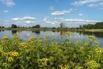 The Elbe near Tangermünde, Saxony-Anhalt, Germany, Europe